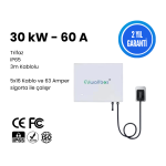 EVwallbox 30 Kw Dc Duvar Tipi Şarj Cihazı (3 mt Dc şarj kablosu ile birlikte)